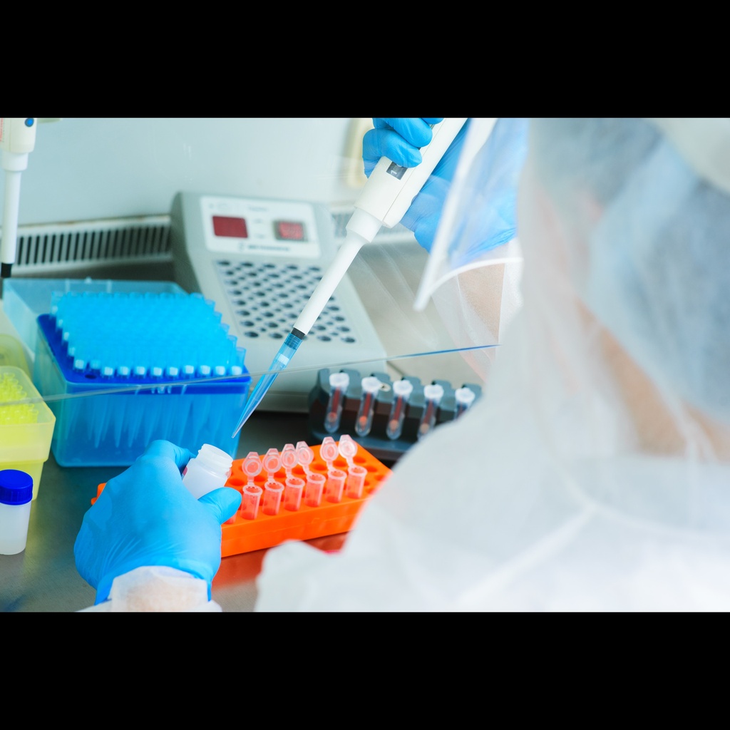 OneqVetPCRsize:realtime CaPVsize:2 Canine parvovirus type 2 detection kits 100 Rx