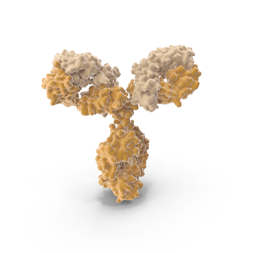 [0544-MBS6011273] Vaccinia Virus B5R (Smallpox, VACV, VV), 0.1 mg